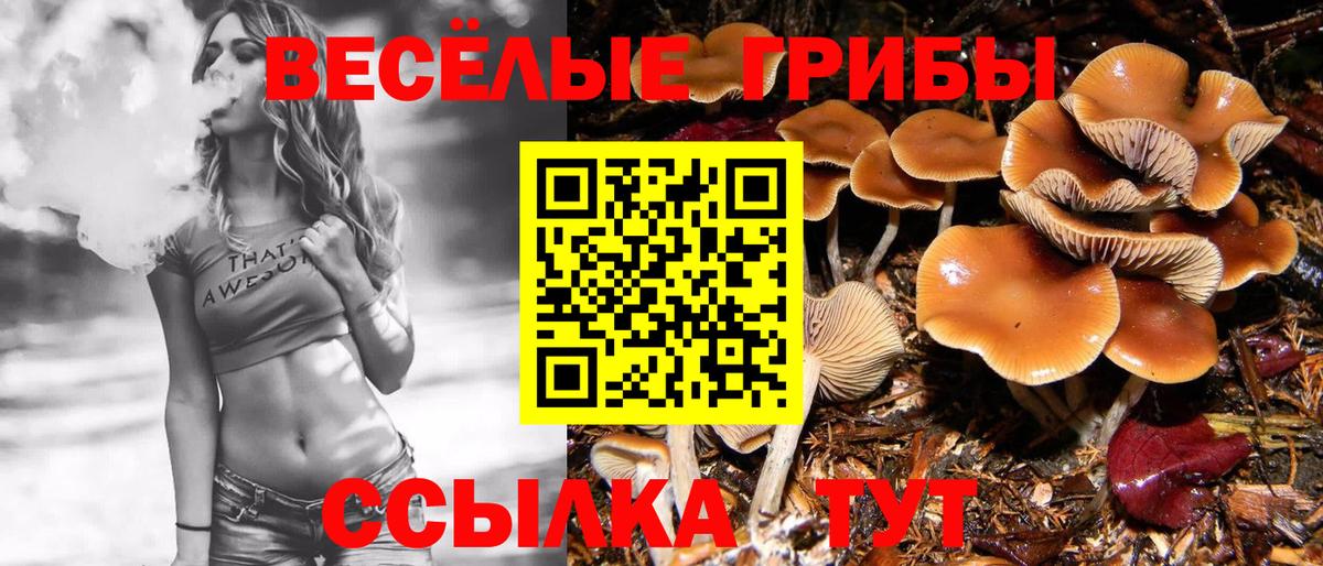 Галлюциногенные грибы Psilocybe  Вход с VPN  Псилоцибиновые грибы Magic Shrooms  Курчатов 