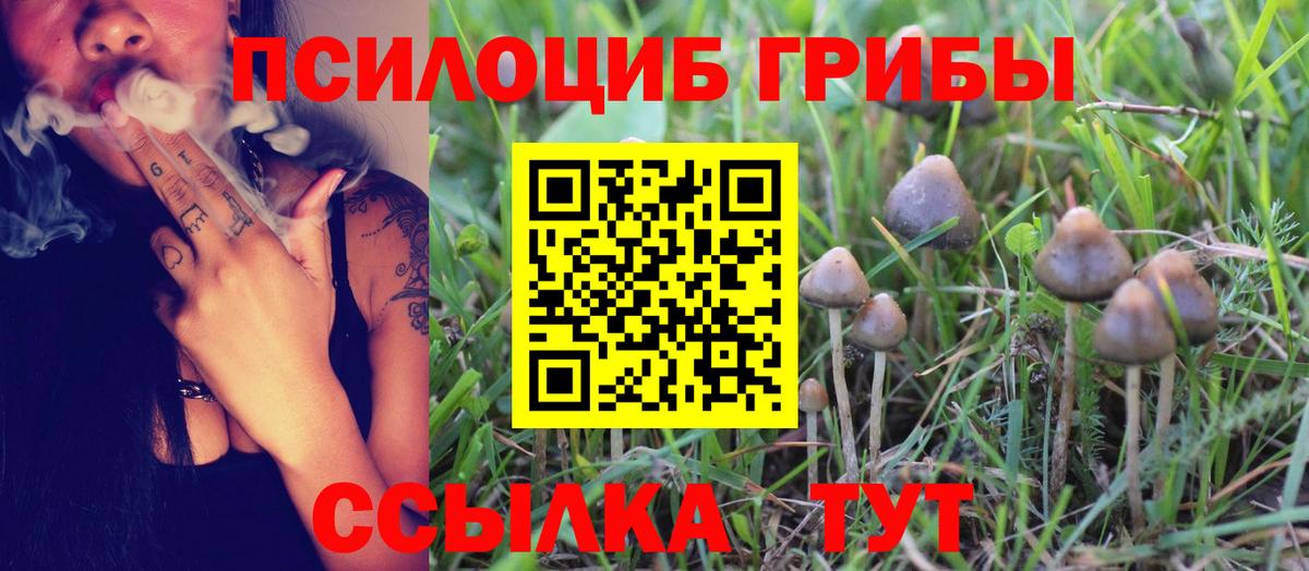 Псилоцибиновые грибы прущие грибы Курчатов